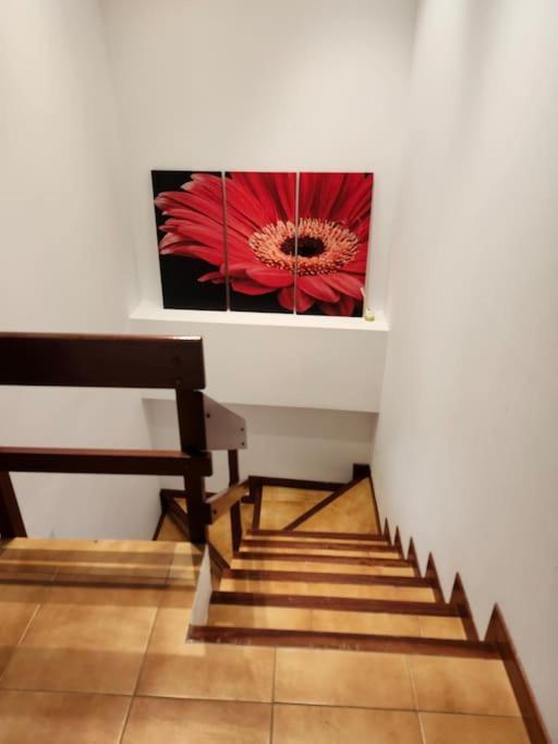 Duplex Rua Sol - Netflix Apartment ลาเซ ภายนอก รูปภาพ